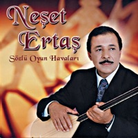 Sözlü Oyun Havaları - Neşet Ertaş