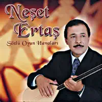 Bağa Gel Bostana Gel — Neşet Ertaş
