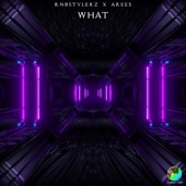 What (Extended Mix) artwork
