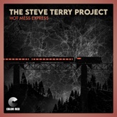 Steve Terry Project - Hot Mess Express