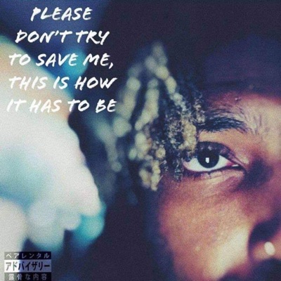 Please Don't Try To Save Me, This Is How It Has To Be
