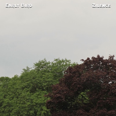 Early Bird - Single