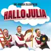 Die jungen Zillertaler - HALLOJULIA