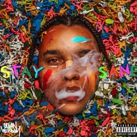 Stay Sane - Ocean Wisdom