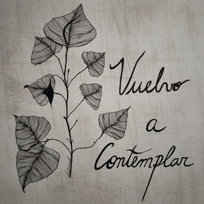 Vuelvo a Contemplar (feat. Dj Alrroma) - Single
