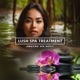 Lush Spa Treatment