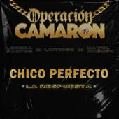 Chico Perfecto (feat. Telecinco) [La Respuesta] artwork