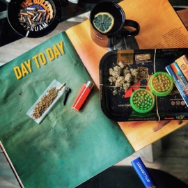 Day to Day Abnormal Sleepz