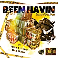 Been Havin (feat. Triple D Savage & Solo Faness) - Single - Damn Fool D