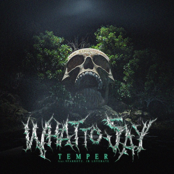 What to Say (feat. 9Parrotz & JB.Lovehate)