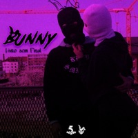 Livro Sem Final - Single - Mc bunny