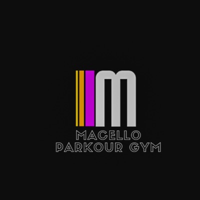 MerioPk Theme Song - Single