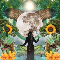 Animales de Poder - Single - TALULAH