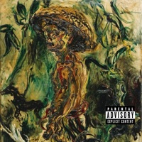 Wildout - Single - Herbloso