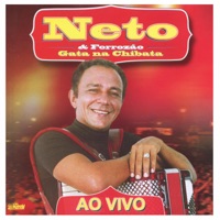 Gata na Chibata (Ao Vivo) - Neto