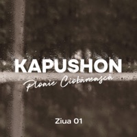 Ploaie Ciobaneasca: Ziua 1 - Kapushon