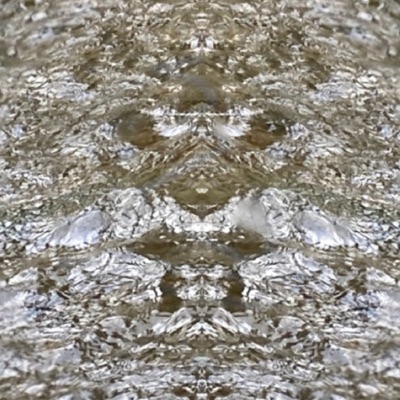 Superfloodin' - Single