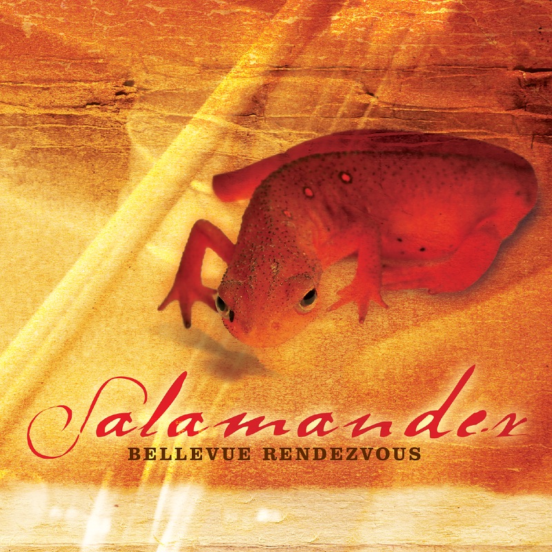 Salamander