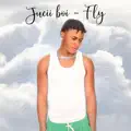 Fly