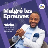 Malgré les epreuves artwork