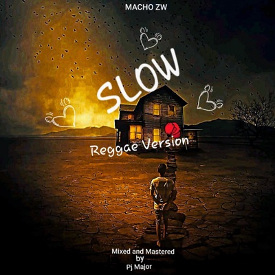 Slow (Reggae version) - Single