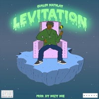 Levitation (feat. Dozy Doe) - Qualen Mathlay