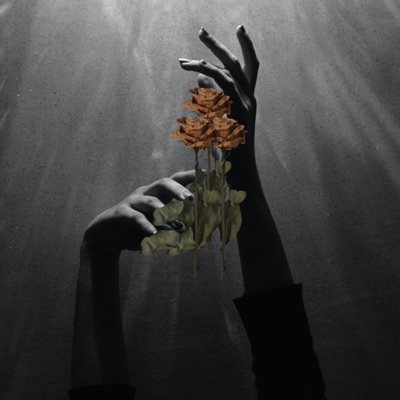 Carta a Mi Ex - Single