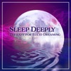 Bedtime Songs Sanctuary - Silent and Quiet