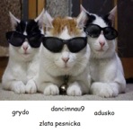 zlata pesnicka (feat. adusko & grydo) - Single