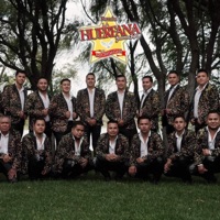 Te quiero mucho - Single - Banda la huerfana