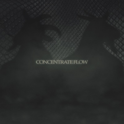 Concentrate Flow - Single