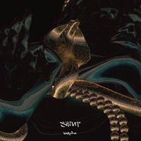 Album cover for Shiva by Kayruda