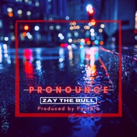 Pronounce - Single - ZAY the Bull