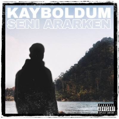 Kayboldum Seni Ararken - Single