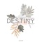Do you believe in destiny (feat. Boy Sompob) - Catchy lyrics
