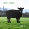 Lmfao - Iron Sheep lyrics