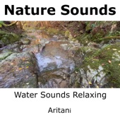 Water Sounds Relaxing artwork