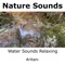 Water Sounds Relaxing artwork