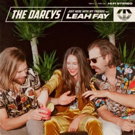 Just Here With My Friends (feat. Leah Fay) [Lights Remix] The Darcys