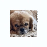 Nordic Lullaby - Single - Timi Tamminen