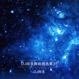 大家一起摇摆 DJ阿圣