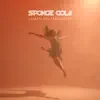 Sponge Cola - Laman Ng Panaginip