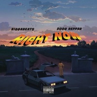 Right Now (feat. BiggaBeats) - Single - Doog Reppar