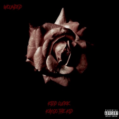 Wounded (feat. Kaygo The Kid) - Single