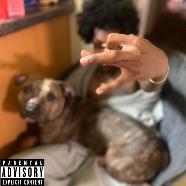 Voice of the Underdog