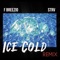 Ice Cold Flex (feat. F Breezio) - Strv lyrics