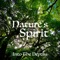 Old Soul (Bass Flute & Rainstick Meditation) - Nature's Spirit lyrics