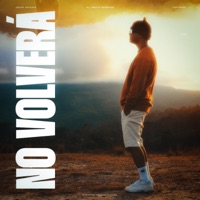 No Volverá - Single - Oscar Arteaga & Baskiat