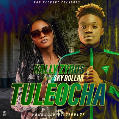 Kally Zyrus Tuleocha (feat. Sky Dollar) - Single