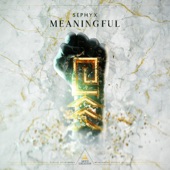 Meaningful (Extended Mix) artwork